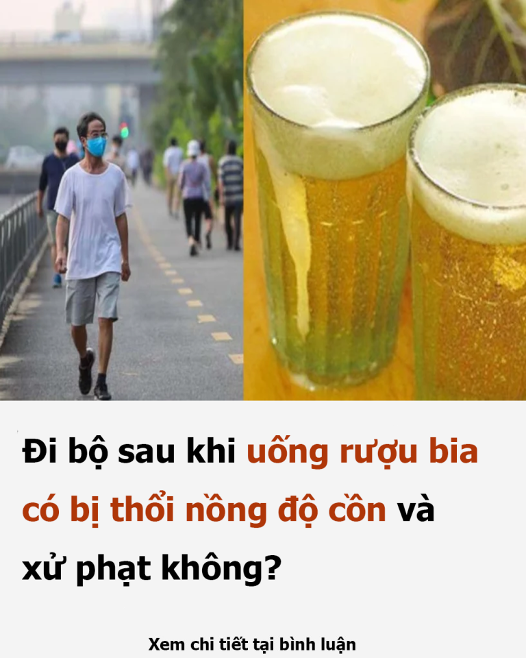 Đi bộ sau khi uống rượu bia có bị thổi nồng độ cồn và xử phạt không?