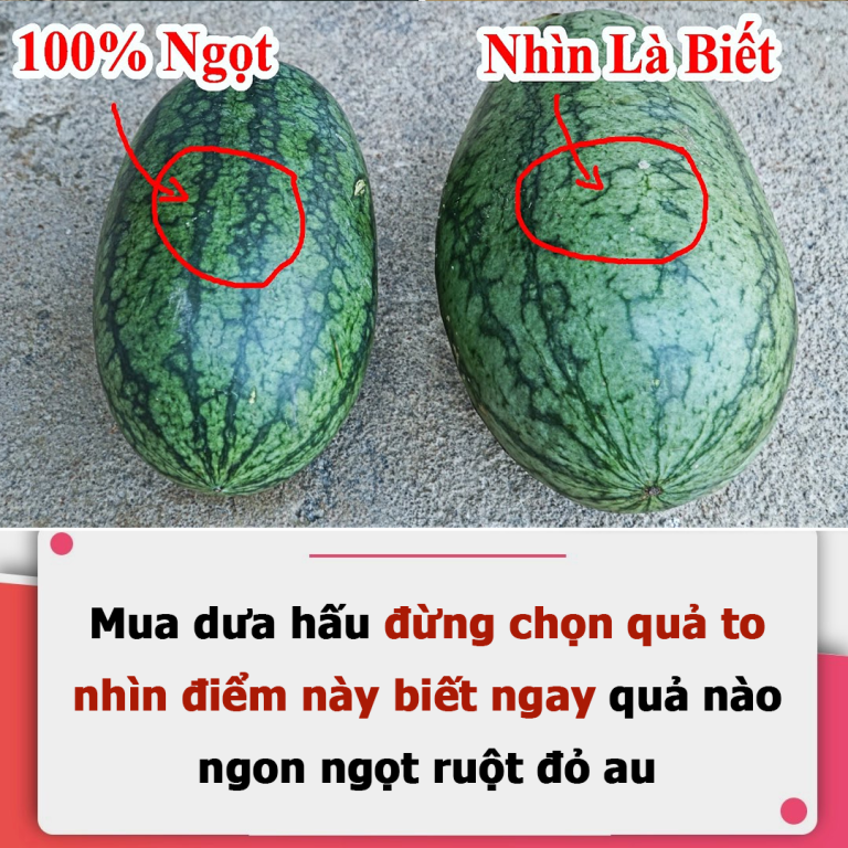 Mua dưa hấu đừng chọn quả to, nhìn điểm này biết ngay quả nào ngon ngọt, ruột đỏ au