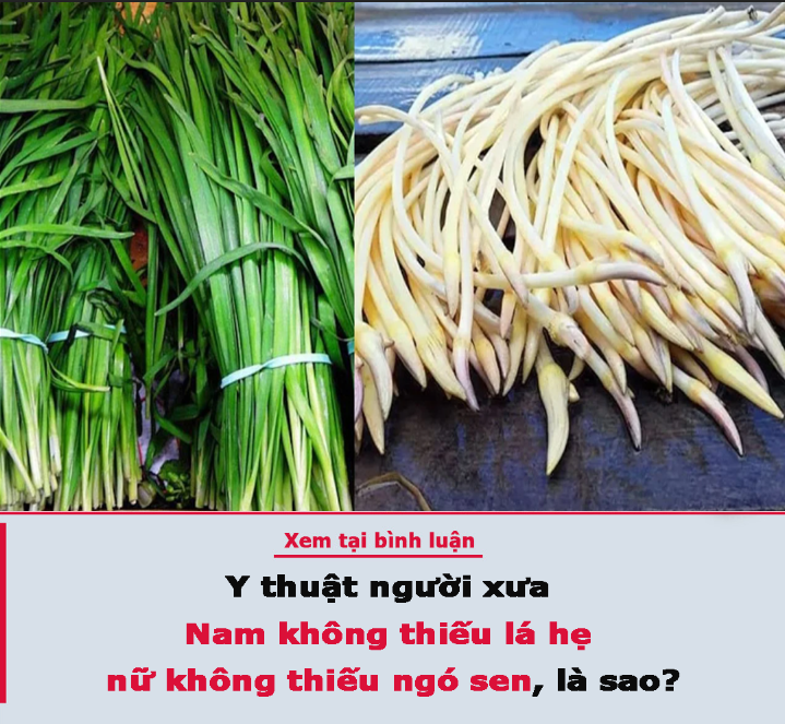 Y thuật người xưa: Nam không thiếu lá hẹ, nữ không thiếu ngó sen, là sao?