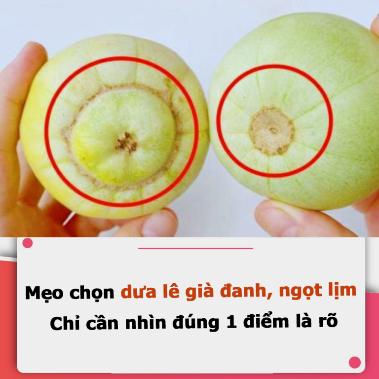 Mẹo chọn dưa lê già đanh, ngọt lịm: Chỉ cần nhìn đúng 1 điểm là rõ