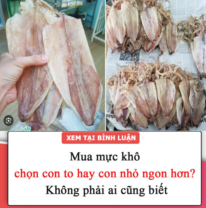 Mua mực khô chọn con to hay con nhỏ ngon hơn? Hai loại này có khác biệt lớn không phải ai cũng biết