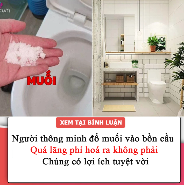 Người thông minh đổ muối vào bồn cầu quá lãng phí hoá ra không phải: Chúng có lợi ích tuyệt vời