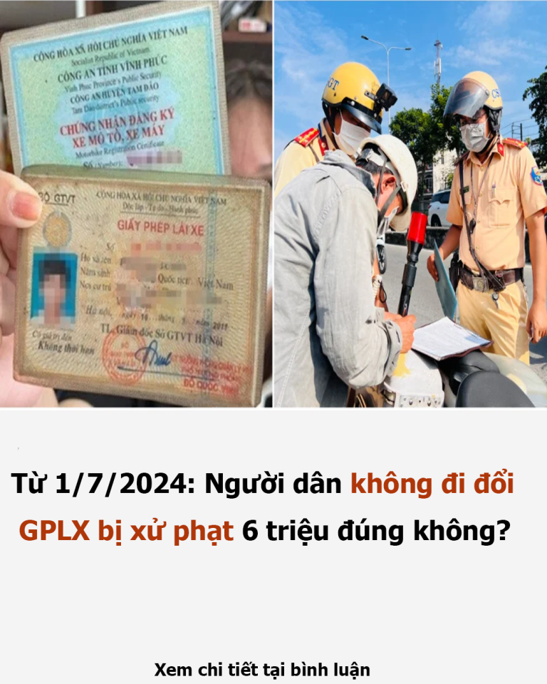 Từ 1/7/2024: Người dân không đi đổi GPLX bị xử phạt 6 triệu đúng không?