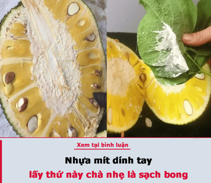 Mẹo làm sạch nhựa mít, dính mấy cũng sạch bong