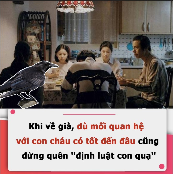 Khi về già, dù mối quan hệ với con cháu có tốt đến đâu cũng đừng quên ”định luật con quạ”