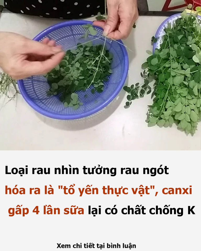 Loại rau giàu canxi, ngang ngửa tổ yến, nhưng ít người biết mà ăn