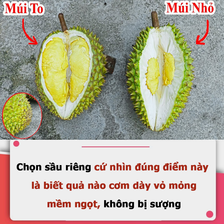 Chọn sầu riêng cứ nhìn đúng điểm này là biết quả nào cơm dày vỏ mỏng, mềm ngọt, không bị sượng