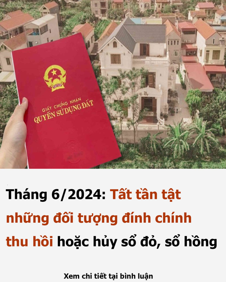 Tháng 6/2024: Tất tần tật những đối tượng đính chính, thu hồi hoặc hủy sổ đỏ, sổ hồng