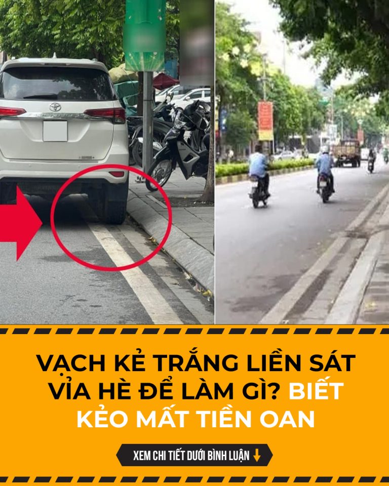 Vạch kẻ trắng liền sát vỉa hè để làm gì? Biết kẻo mất tiền oan