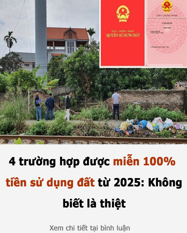 4 trường hợp được miễn 100% tiền sử dụng đất từ 2025: Không biết là thiệt