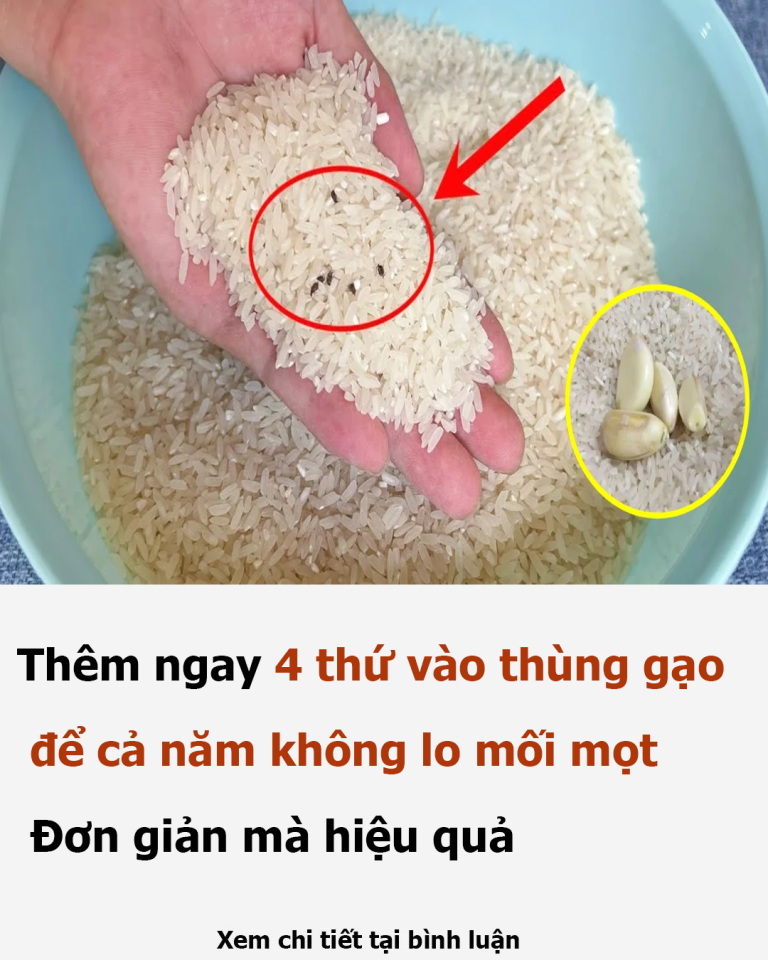 Thêm ngay 4 thứ vào thùng gạo, để cả năm không lo mối mọt: Đơn giản mà hiệu quả