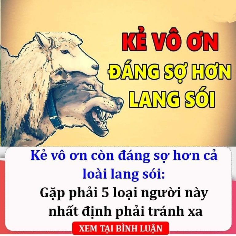 Kẻ vô ơn còn đáng sợ hơn cả loài lang sói: Gặp phải 5 loại người này xungh quanh, hãy cố gắng tránh xa