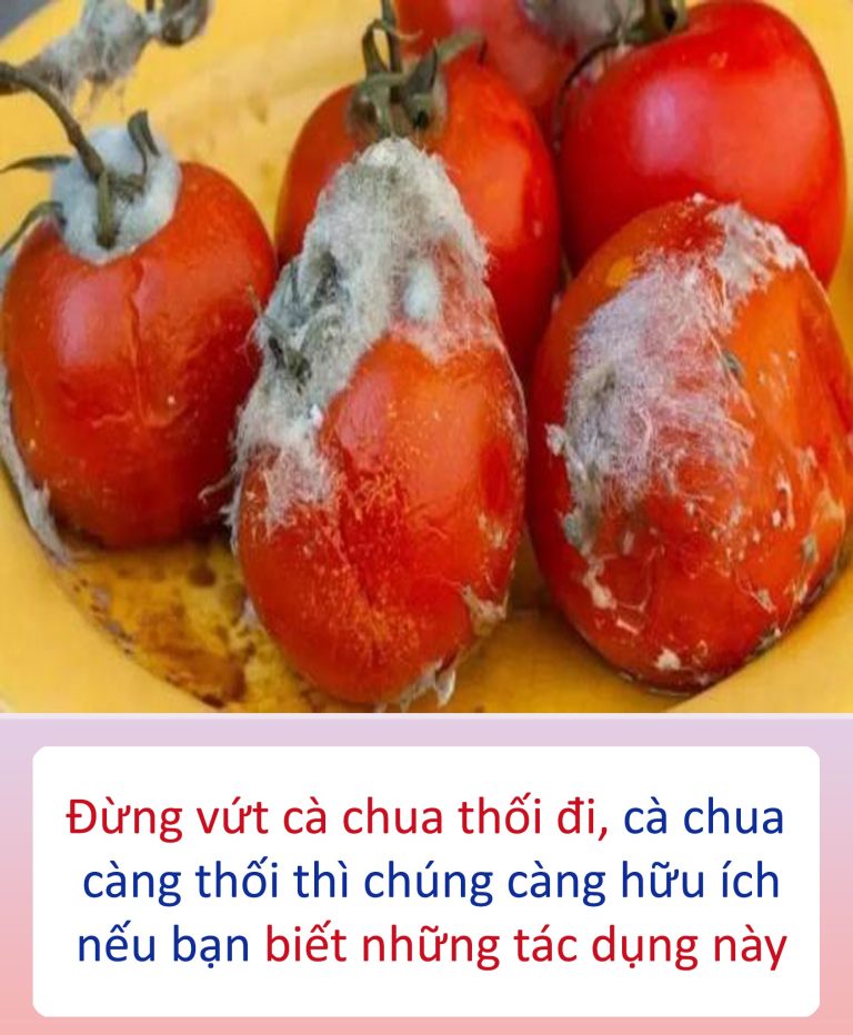 Đừng vứt cà chua thối đi, cà chua càng thối thì chúng càng hữu ích nếu bạn biết những tác dụng này