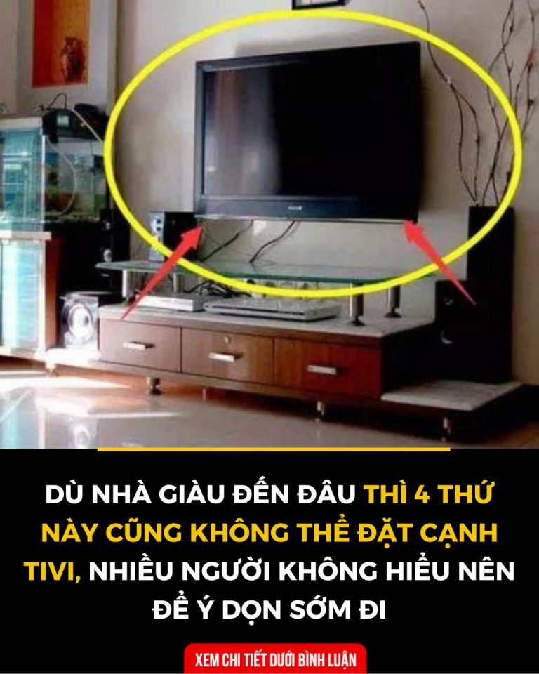 Dù nhà giàu đến đâu thì 4 thứ này cũng không thể đặt cạnh tivi, nhiều người không hiểu nên để ý dọn sớm đi