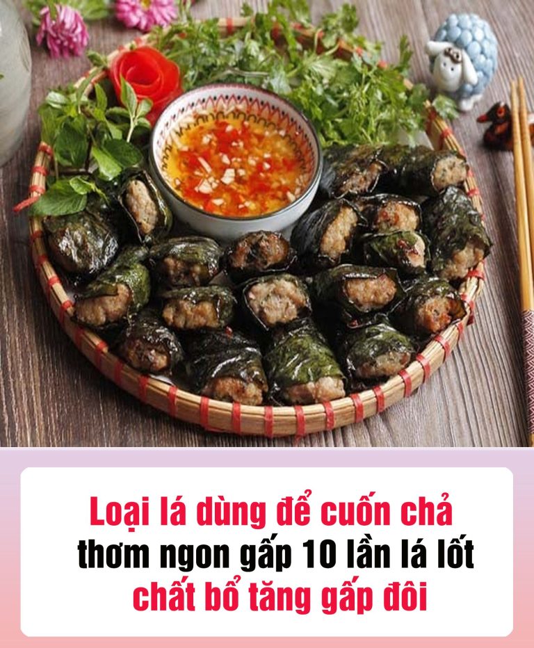 Loại lá dùng để cuốn chả thơm ngon gấp 10 lần lá lốt, chất bổ tăng gấp đôi