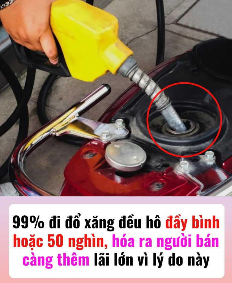 99% đi đổ xăng đều hô đầy bình hoặc 50 nghìn, hóa ra người bán càng thêm lãi lớn vì lý do này