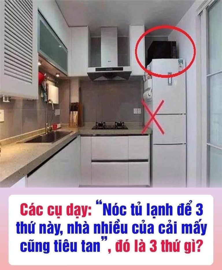 Các cụ dạy: “Nóc tủ lạnh để 3 thứ này, nhà nhiều của cải mấy cũng tiêu tan”, đó là 3 thứ gì?