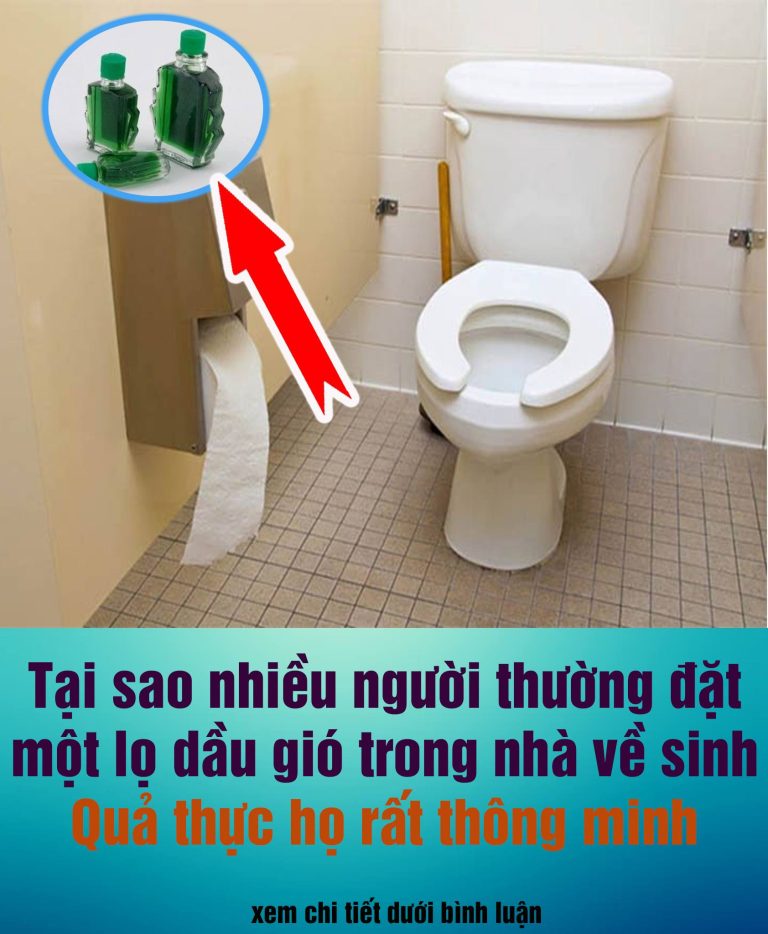 Người thông minh thường để sẵn lọ dầu gió trong nhà vệ sinh, biết lợi ích bạn sẽ muốn học theo ngay