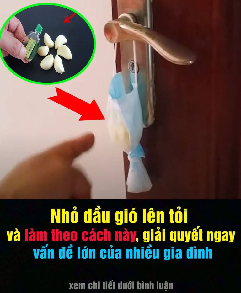 Nhỏ vài giọt dầu gió lên tỏi, giải quyết ngay vấn đề lớn nhiều người gặp phải