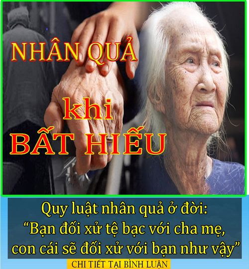 Quy luật nhân quả ở đời: “Bạn đối xử tệ bạc với cha mẹ, con cái sẽ đối xử với bạn như vậy”