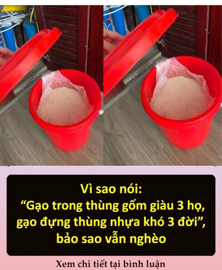 Vì sao nói “Gạo trong thùng gốm giàu 3 họ, gạo đựng thùng nhựa khó 3 đời”, bảo sao vẫn nghèo