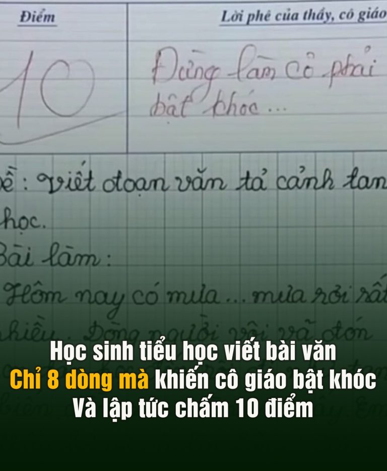 Học sinh tiểu học viết bài văn, chỉ 8 dòng mà khiến cô giáo bật khóc và ʟập tức chấm 10 điểm