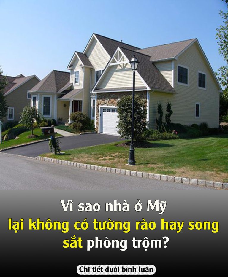 Vì sao nhà ở Mỹ không có tường rào và song sắt phòng trộm?