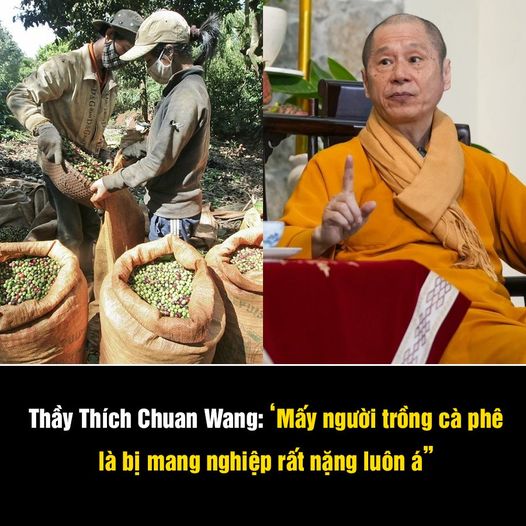 Thầy Thích Chuan Wang: ‘Mấy người trồng cà phê là bị mang nghiệp rất nặng luôn á”