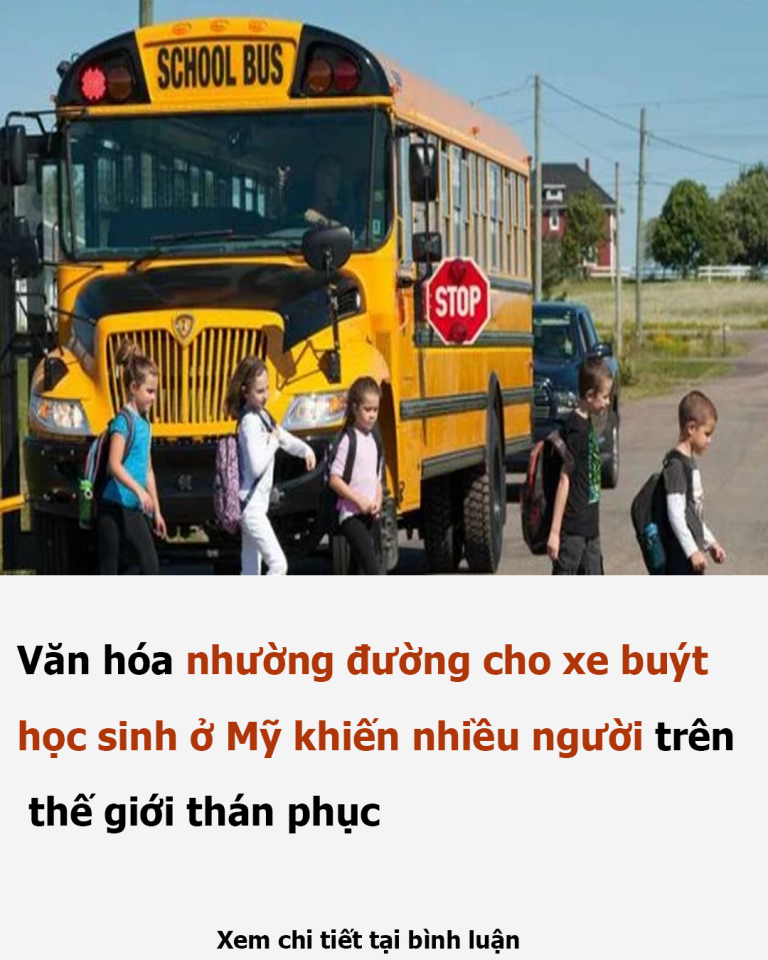 Văn hóa nhường đường cho xe buýt học sinh ở Mỹ khiến nhiều người trên thế giới thán phục