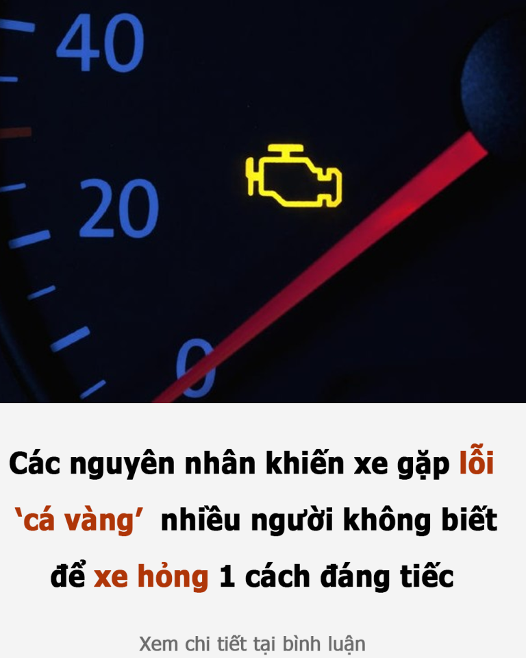 Các nguyên nhân khiến xe gặp lỗi ‘cá vàng’