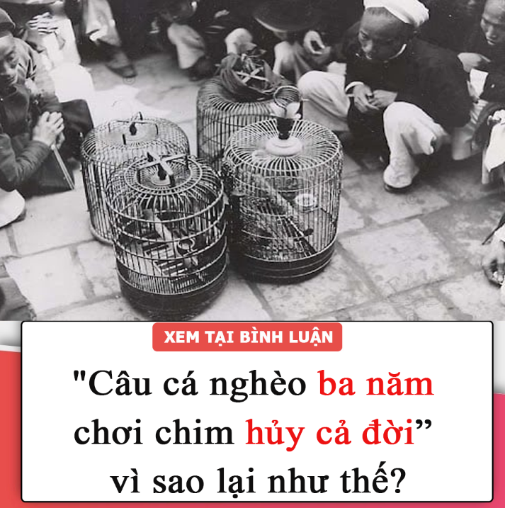 Người xưa nói: “Câu cá nghèo ba năm, chơi chim hủy cả đời”, vì sao lại như thế?