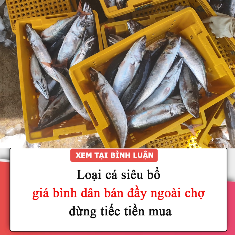 Loại cá siêu bổ, giá bình dân bán đầy ngoài chợ, đừng tiếc tiền mua