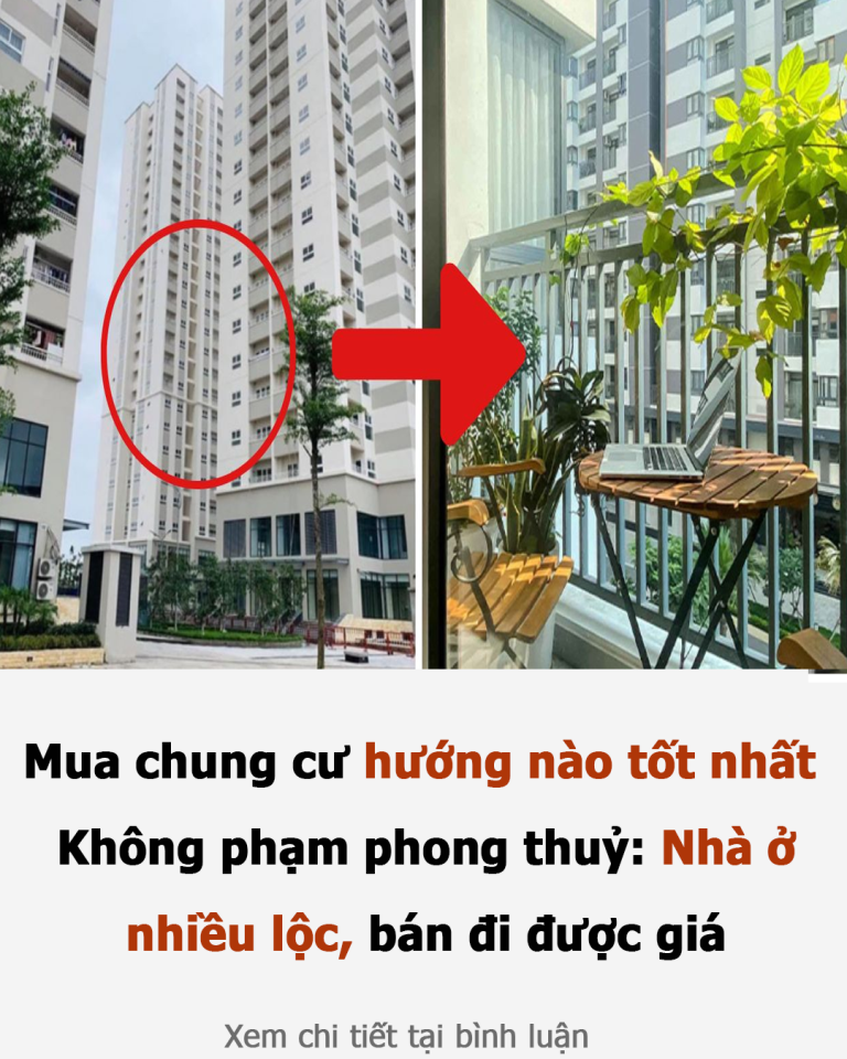 Mua chung cư hướng nào tốt nhất? Không phạm phong thuỷ: Nhà ở nhiều lộc, bán đi được giá