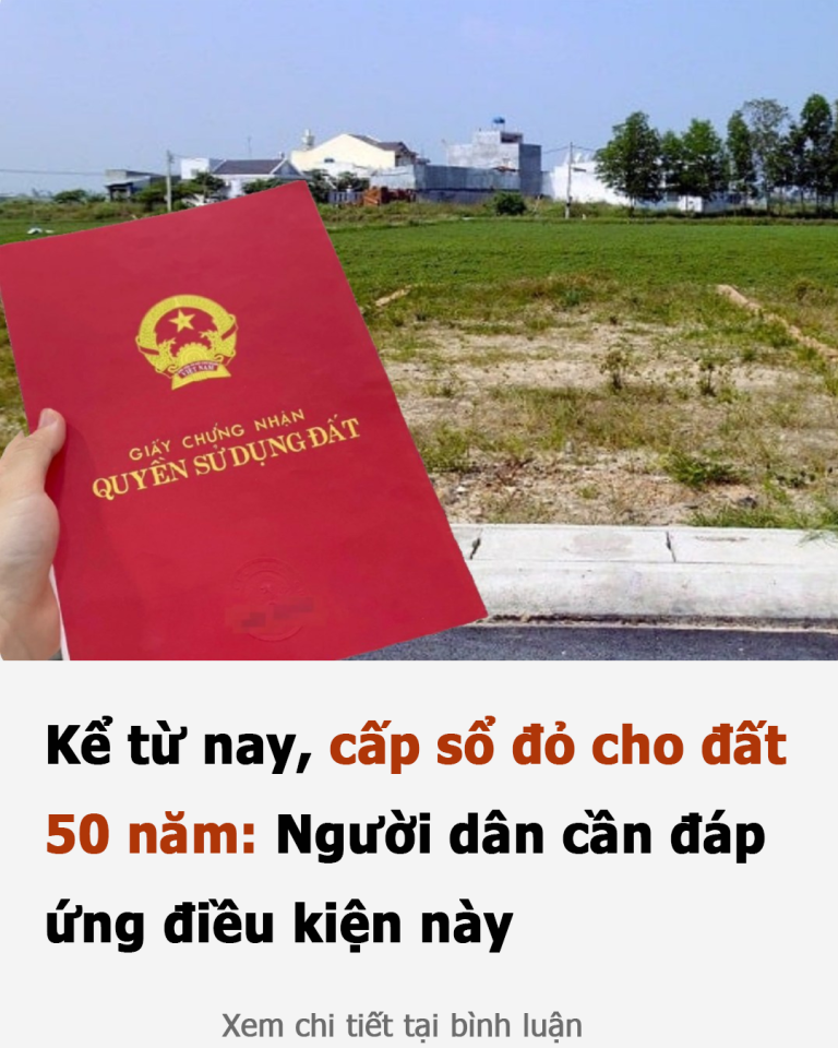 Kể từ nay, cấp sổ đỏ cho đất 50 năm: Người dân cần đáp ứng điều kiện này