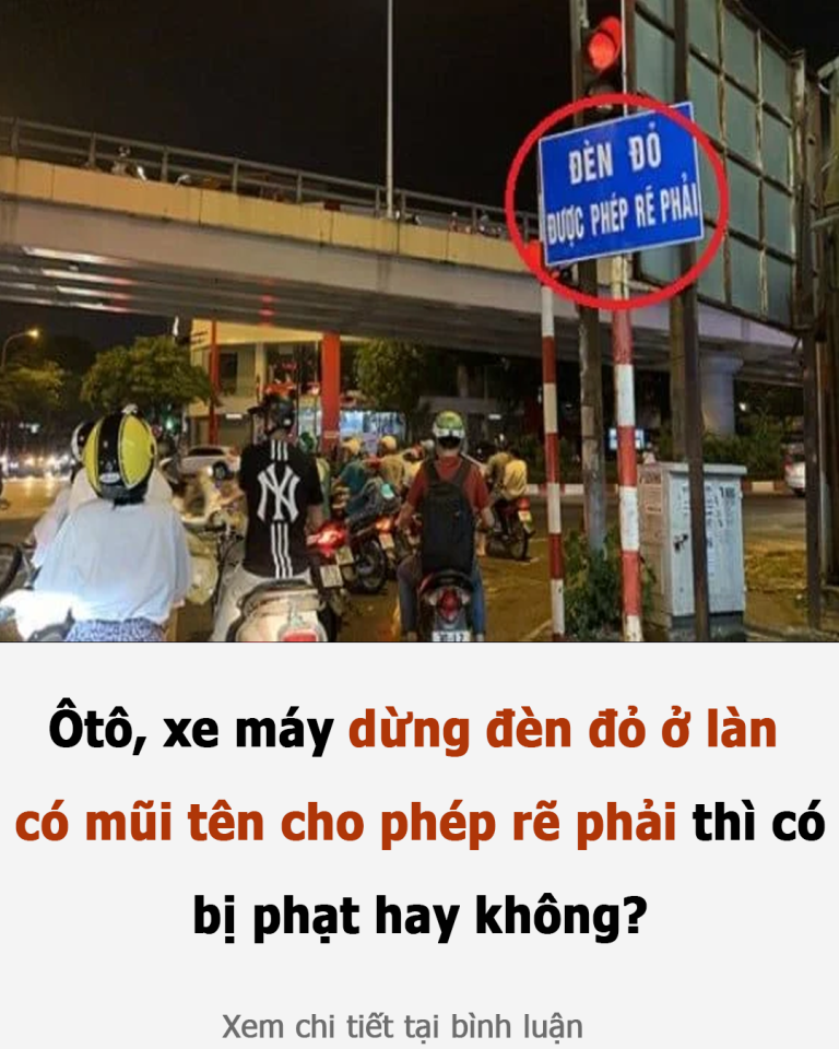 Ôtô, xe máy dừng đèn đỏ ở làn có mũi tên cho phép rẽ phải thì có bị phạt hay không?