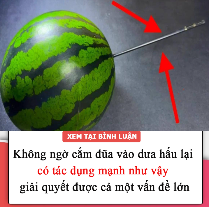 Không ngờ cắm đũa vào dưa hấu lại có tác dụng mạnh như vậy và giải quyết được cả một vấn đề lớn