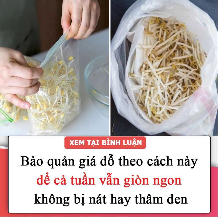 Bảo quản giá đỗ theo cách này, để cả tuần vẫn giòn ngon, không bị nát hay thâm đen