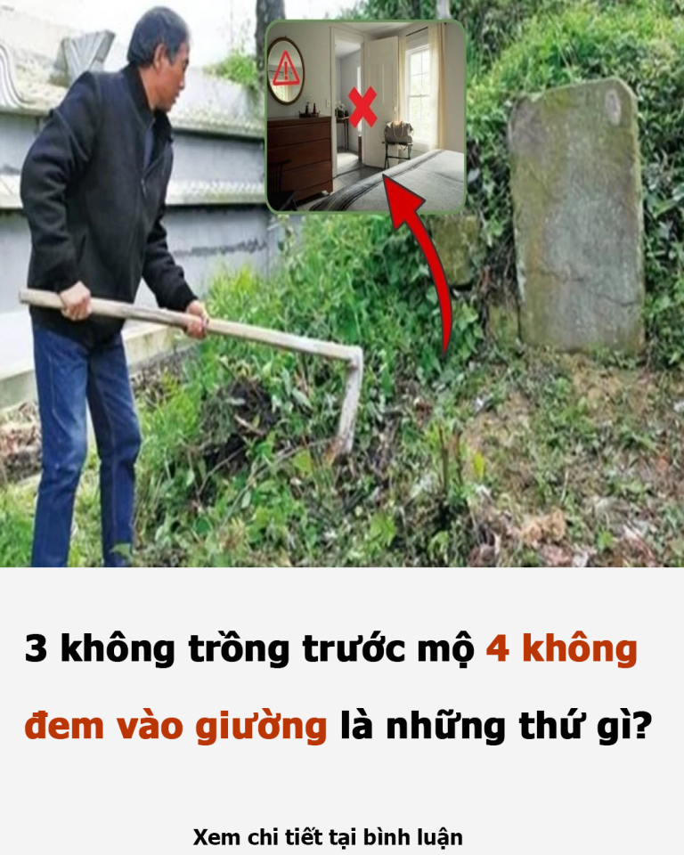 3 không trồng trước mộ, 4 không đem vào giường, là những thứ gì?