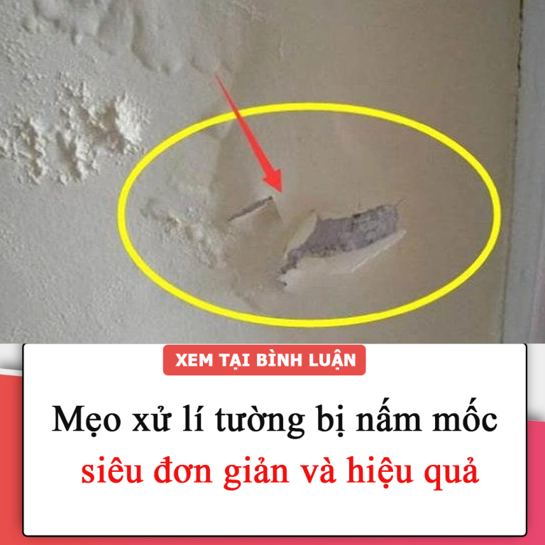 Mẹo xử lí tường bị nấm mốc siêu đơn giản và hiệu quả