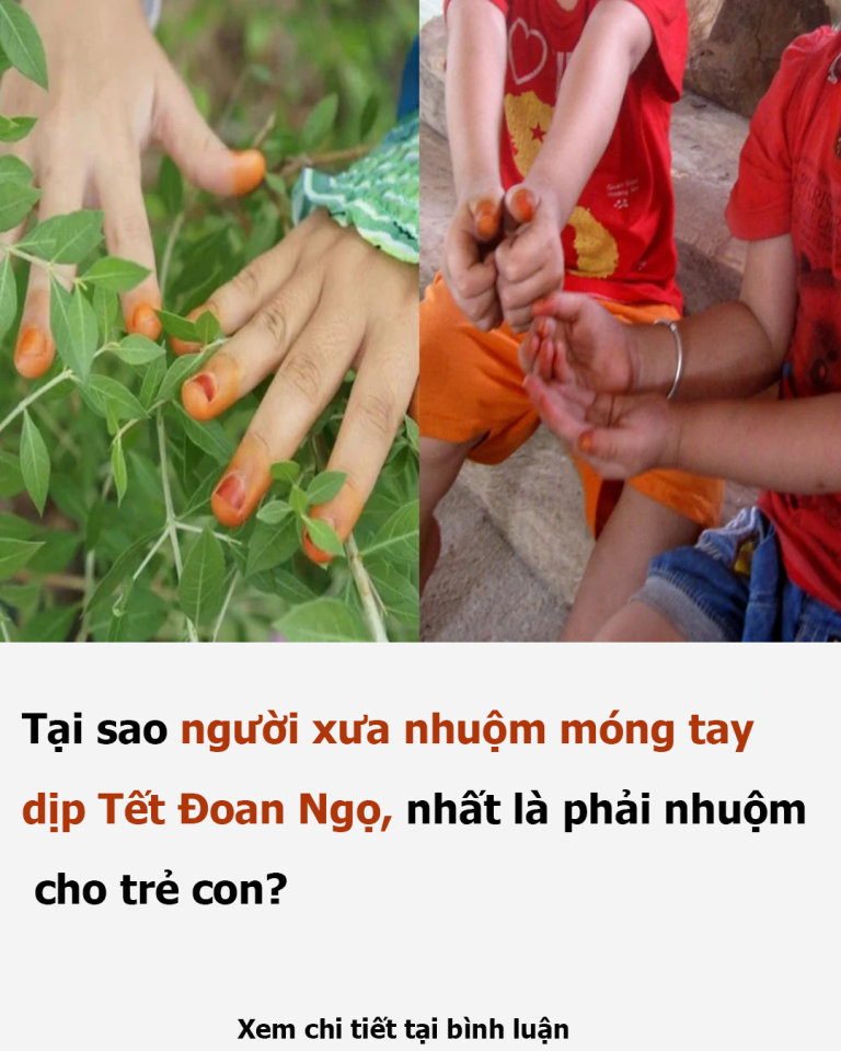 Tại sao người xưa nhuộm móng tay dịp Tết Đoan Ngọ, nhất là phải nhuộm cho trẻ con?