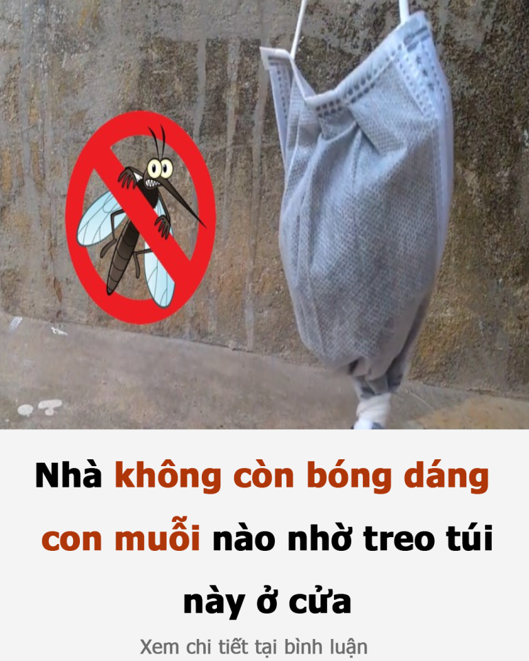 Nhà không còn bóng dáng con muỗi nào nhờ treo túi này ở cửa