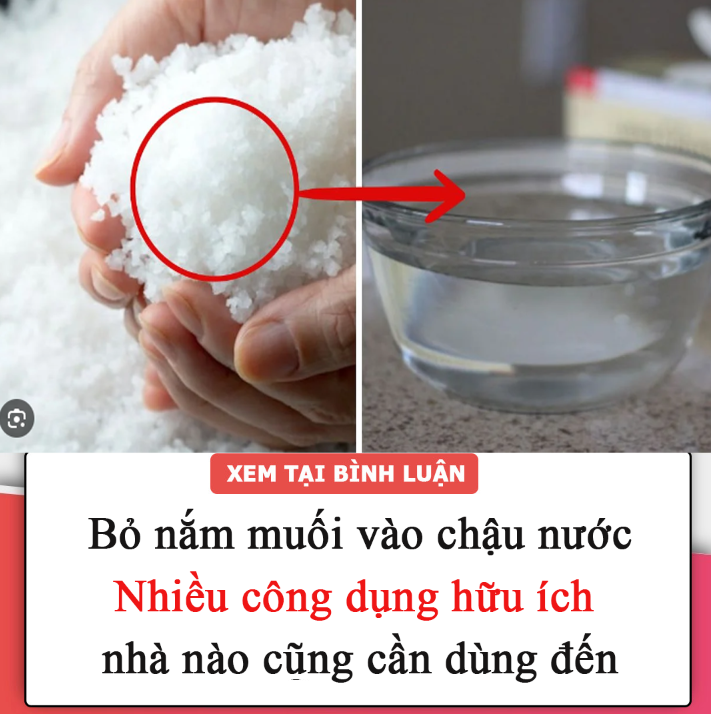 Bỏ nắm muối vào chậu nước: Nhiều công dụng hữu ích nhà nào cũng cần dùng đến