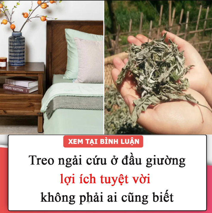 Treo ngải cứu ở đầu giường, lợi ích tuyệt vời không phải ai cũng biết