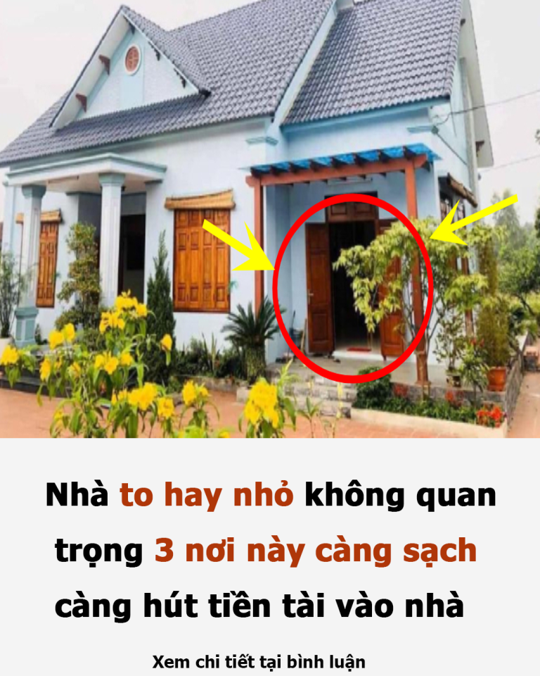 Nhà to hay nhỏ không quan trọng 3 nơi này càng sạch càng hút tiền tài vào nhà