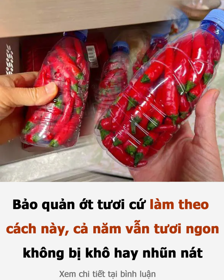 Bảo quản ớt tươi cứ làm theo cách này, cả năm vẫn tươi ngon, không bị khô hay nhũn nát