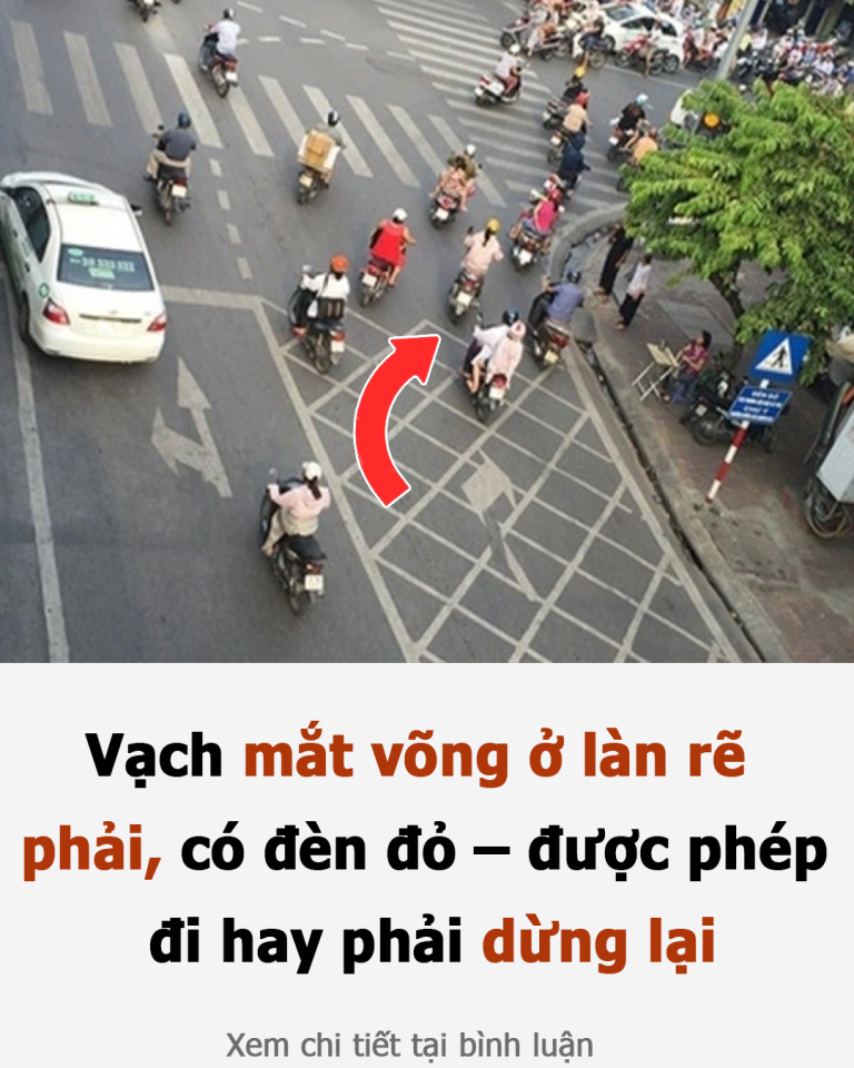 Vạch mắt võng ở làn rẽ phải, có đèn đỏ – được phép đi hay phải dừng lại?