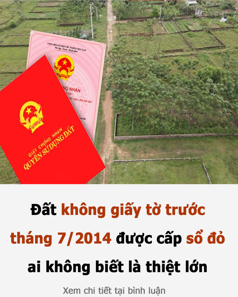 Đất không giấy tờ trước tháng 7/2014 được cấp sổ đỏ: Ai không biết là thiệt lớn