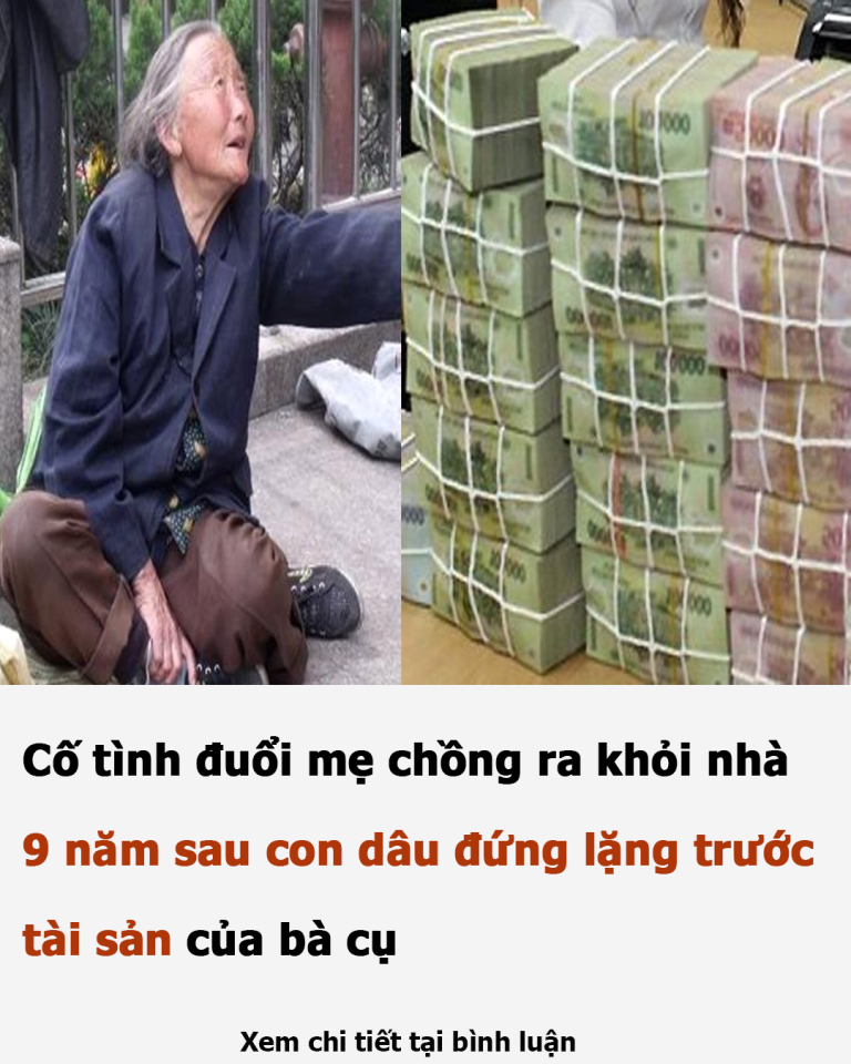 Cố tình đuổi mẹ chồng ra khỏi nhà, 9 năm sau con dâu chết lặng trước tài sản của bà cụ