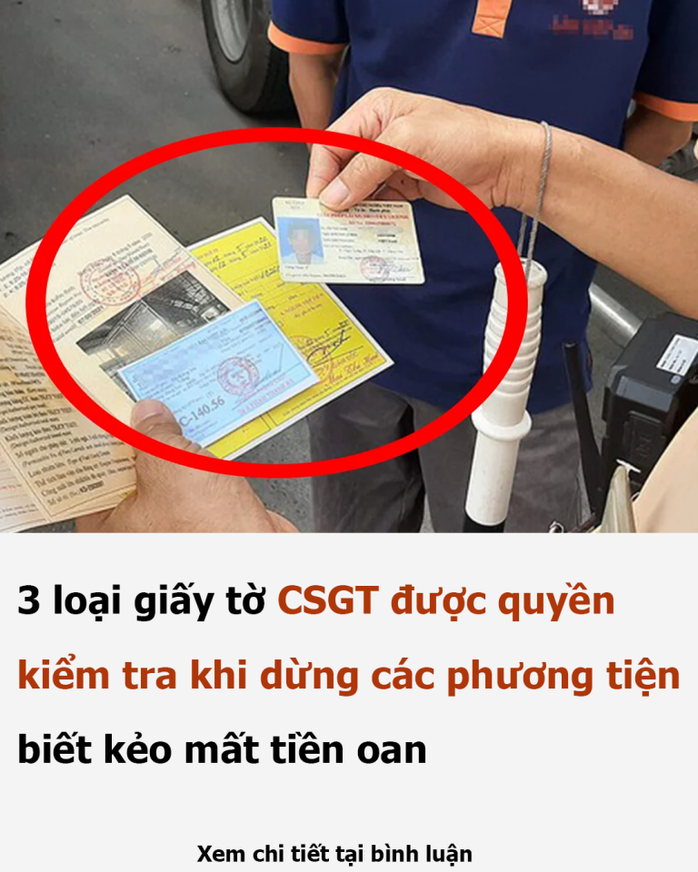 3 loại giấy tờ CSGT được quyền kiểm tra khi dừng các phương tiện, biết kẻo mất tiền oan