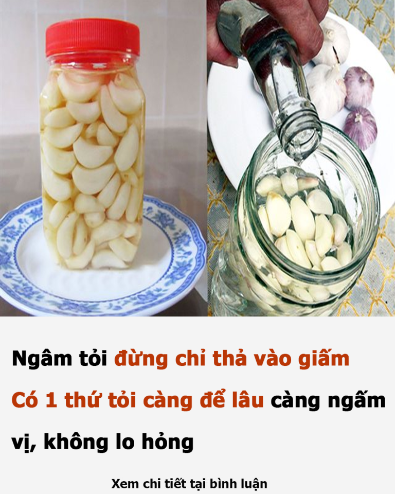 Ngâm tỏi đừng chỉ thả vào giấm: Có 1 thứ tỏi càng để lâu càng ngấm vị, không lo hỏng